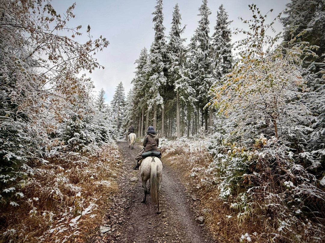 Hipparion Trails-Gheorgheni必去景点