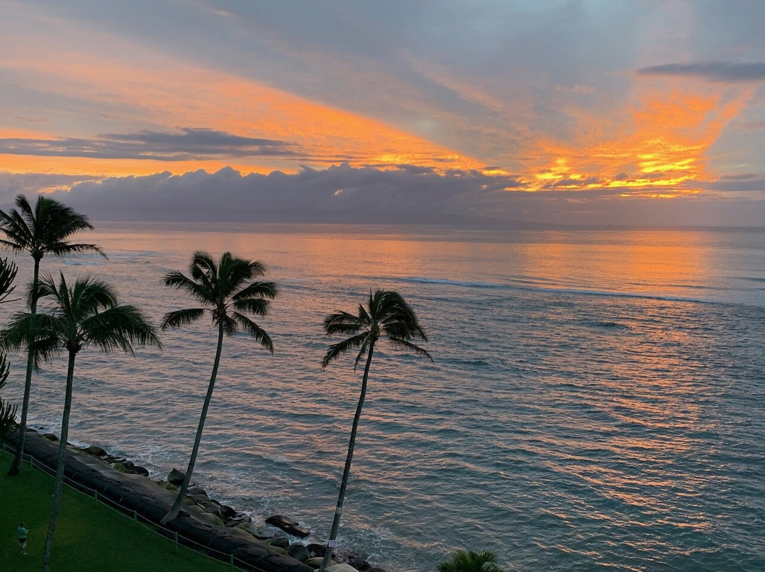 霍洛拉尼海滨公寓主图