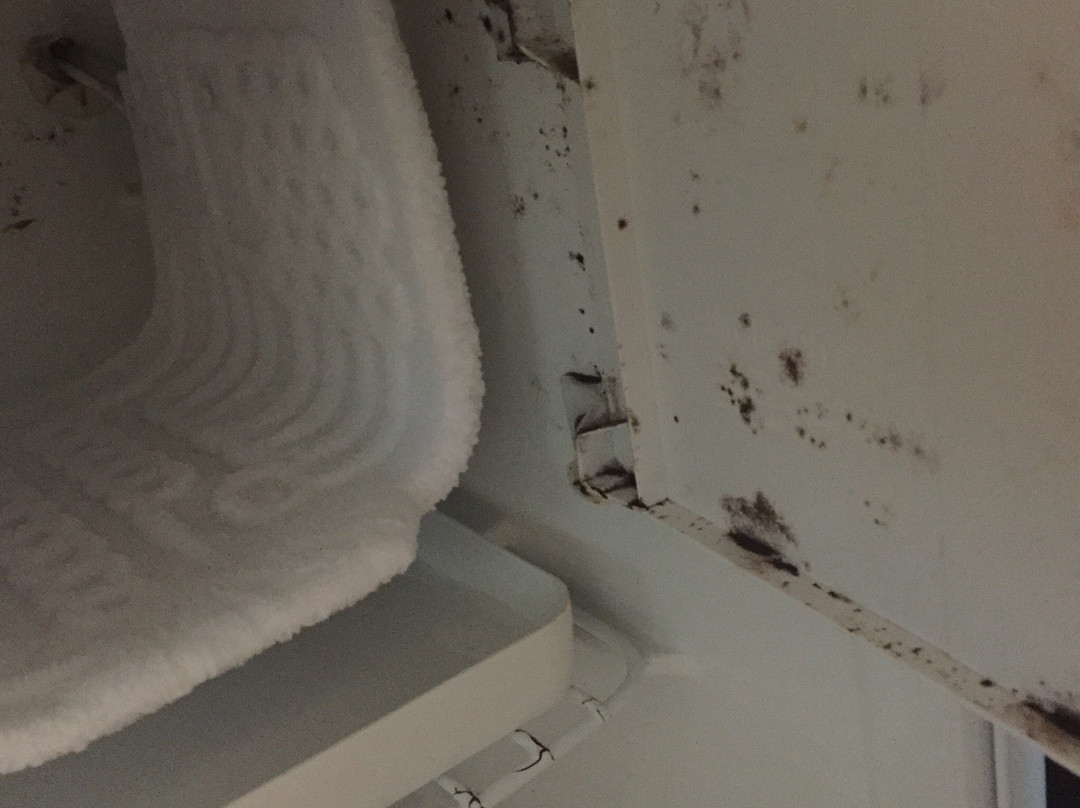 Country Inn & Suites by Radisson, Alexandria, MN