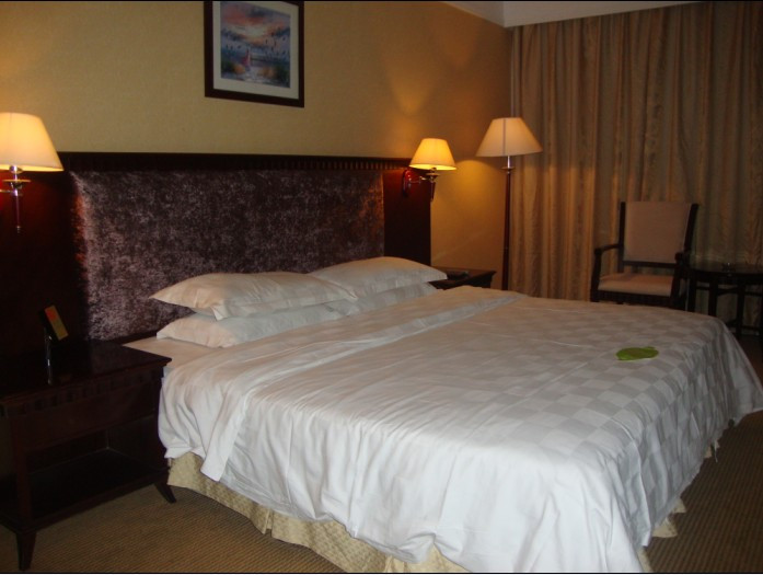 维也纳酒店（惠州西湖麦地南路店)主图