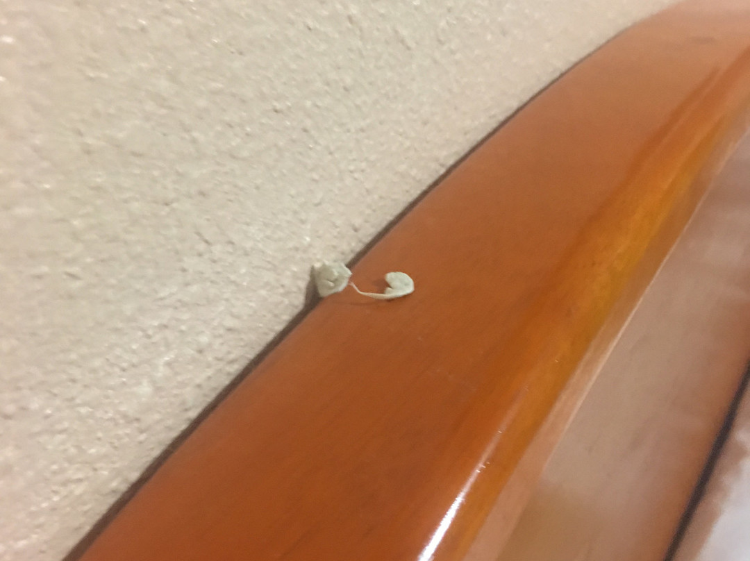 Americas Best Value Inn Altus