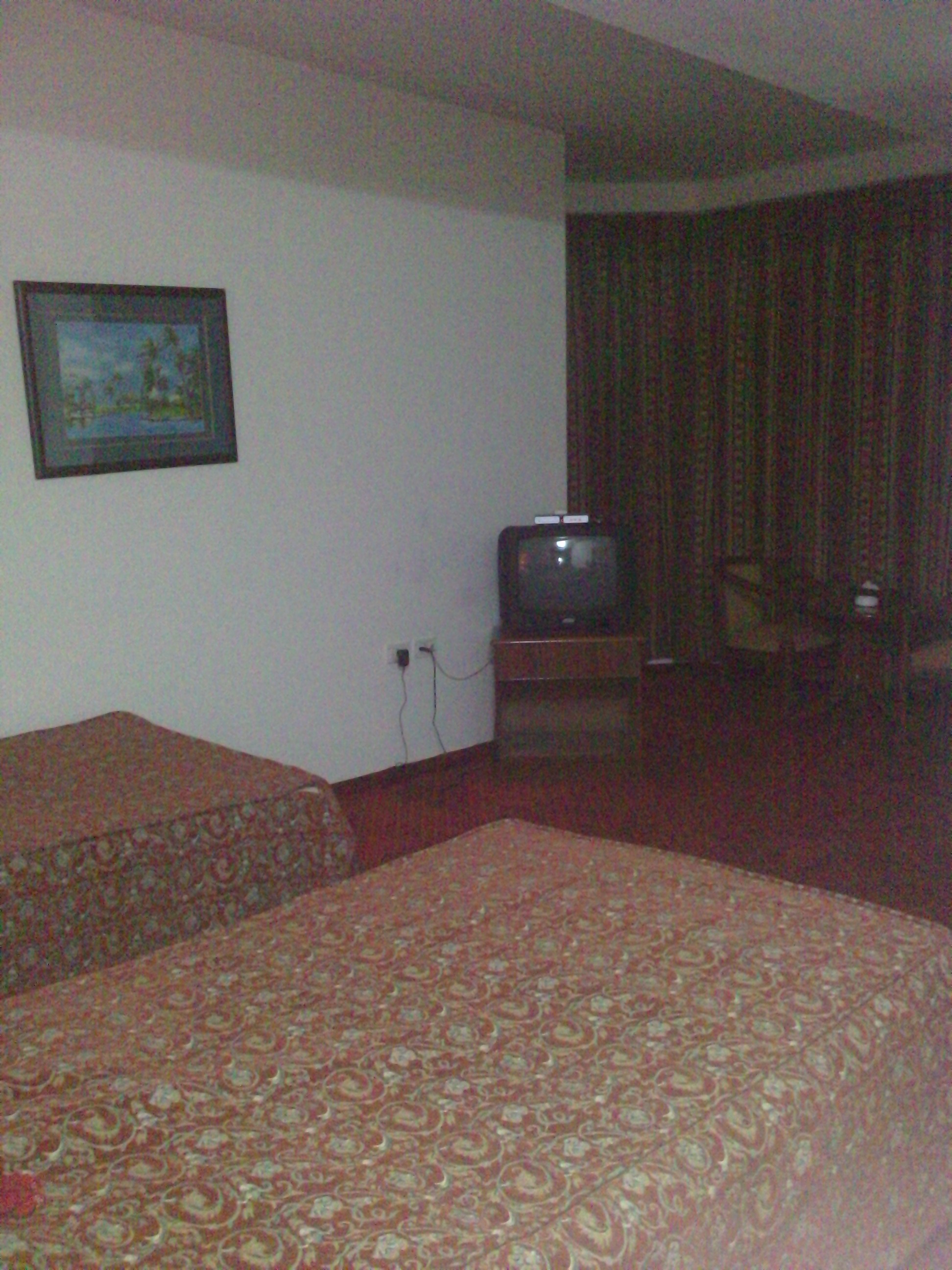 Commodore Hotel Gaza-客卧
