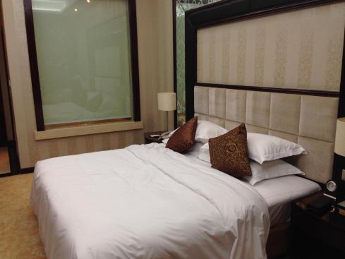 天邑国际大酒店-客卧