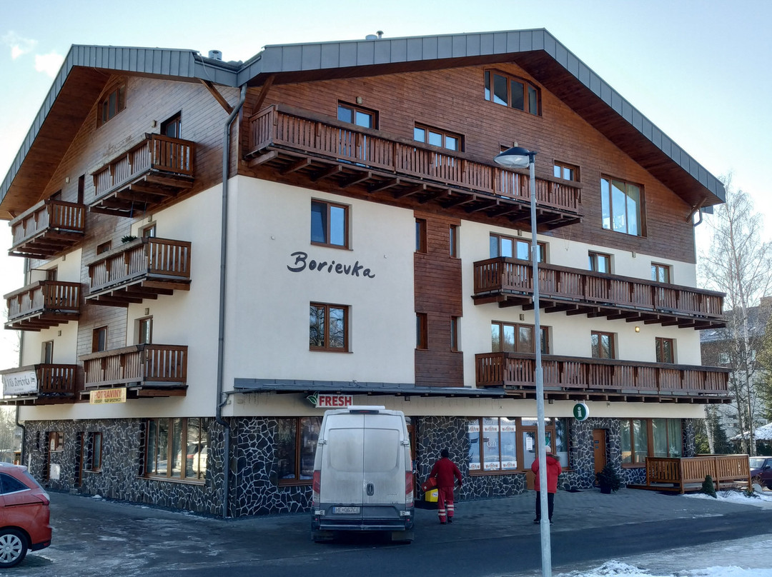 Kezmarske Zlaby酒店住宿-Vila Borievka