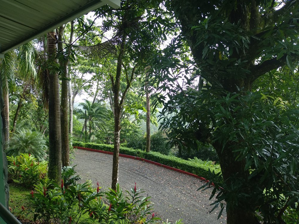 Casa Conley del Mar-官方