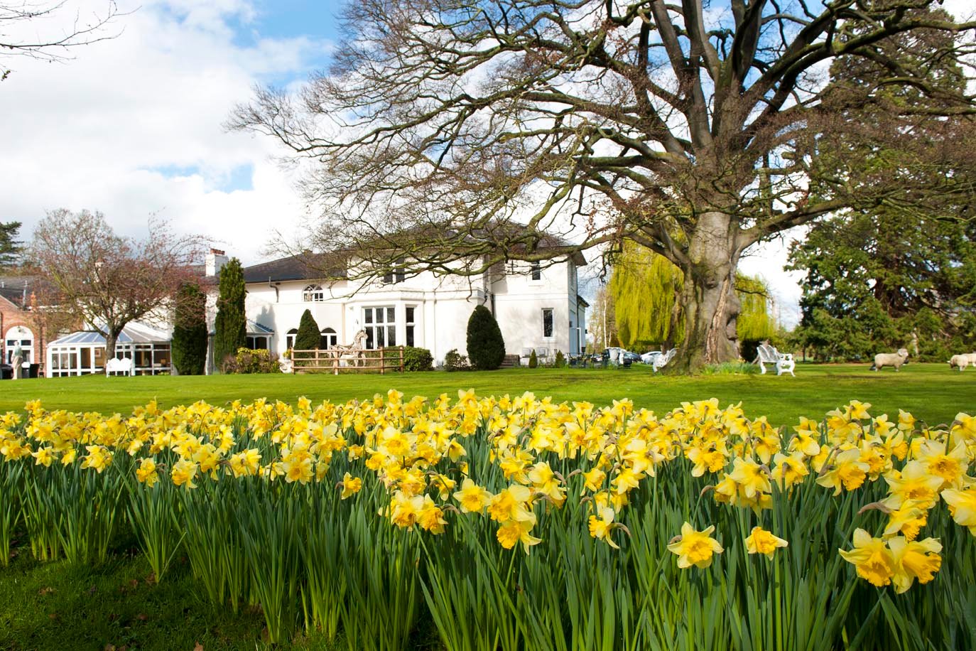 Wrexham Llyndir Hall, BW Signature Collection by Best Western-官方