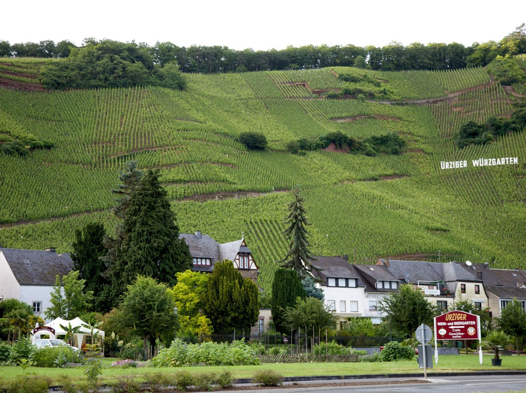 Hotel Urziger Wuerzgarten