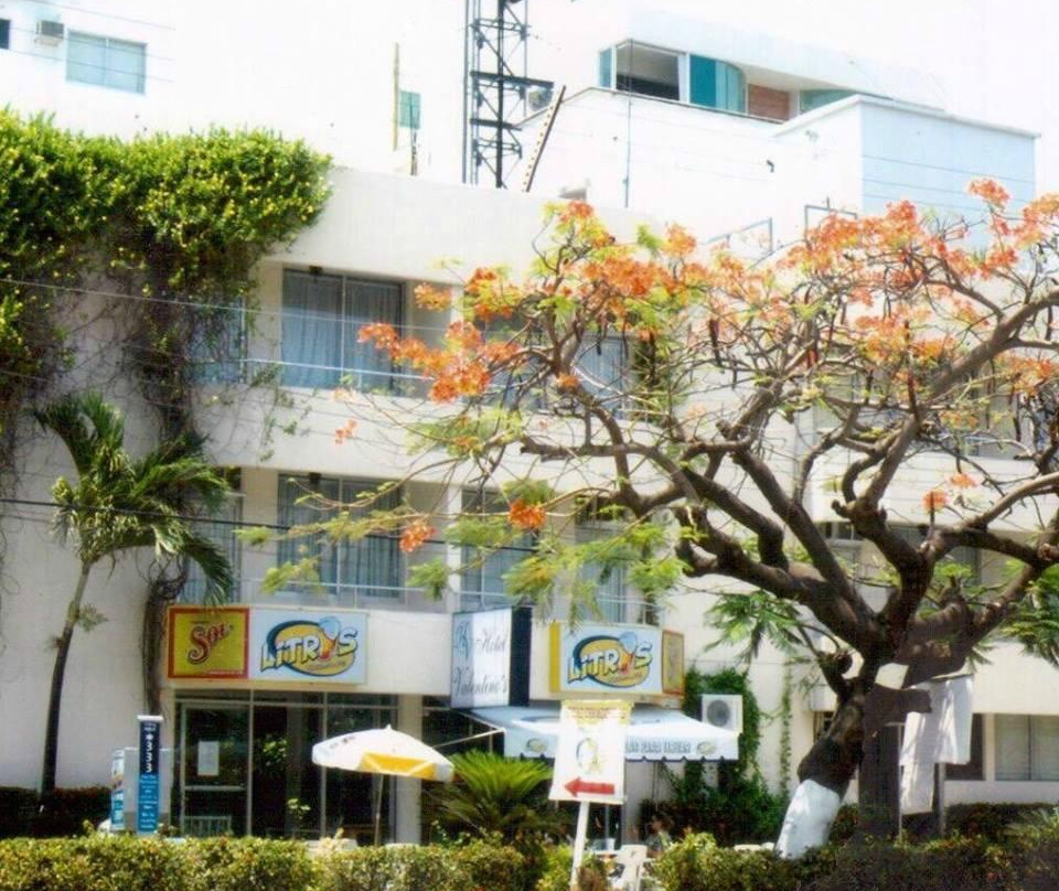 Ocotito酒店住宿-Hotel Valentinos