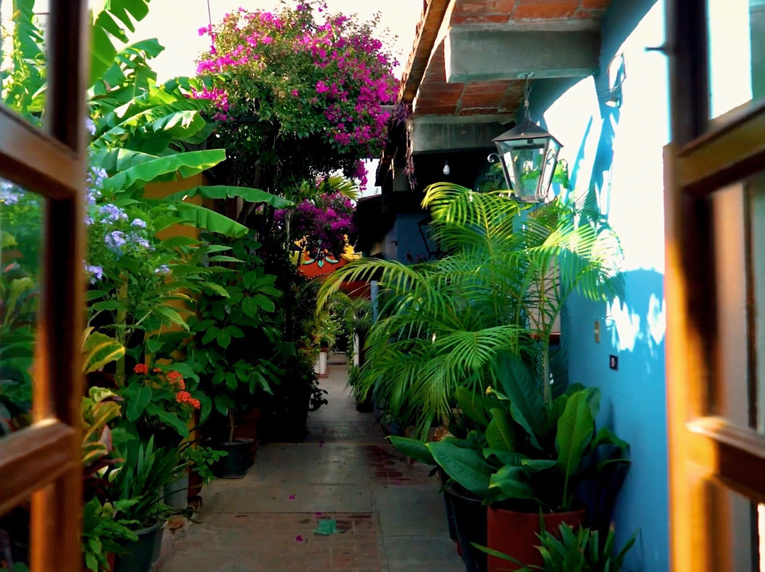 Hotel Las Golondrinas