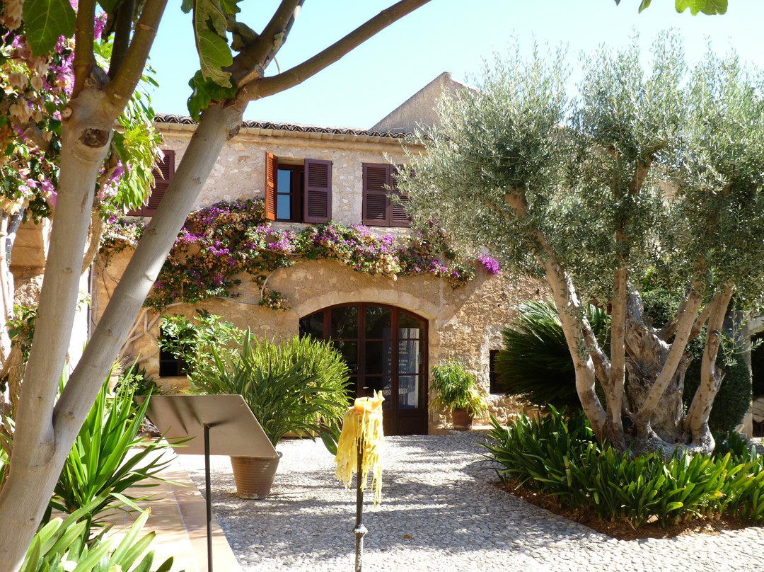 Son Servera酒店住宿-Residencia Son Floriana