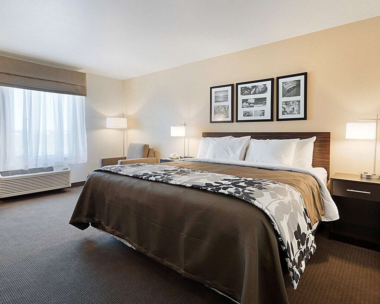 Sleep Inn & Suites Carlsbad Caverns Area-官方