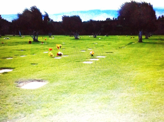 Desert Memorial Park-棕榈泉市必去景点