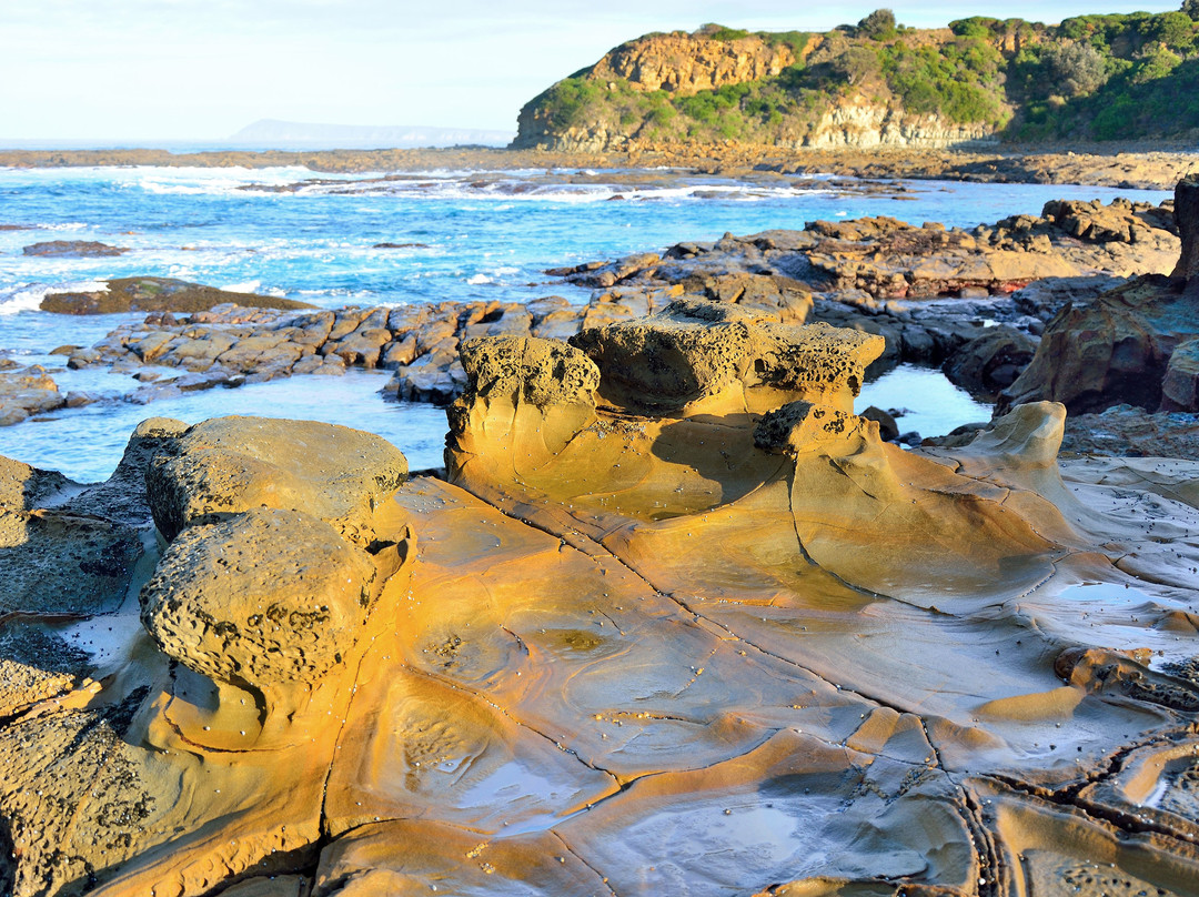 Shelly Beach-Kilcunda必去景点
