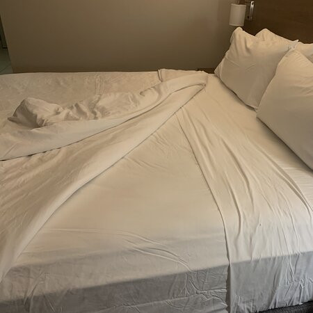 Endicott酒店住宿-Holiday Inn Express & Suites Binghamton University-Vestal by IHG