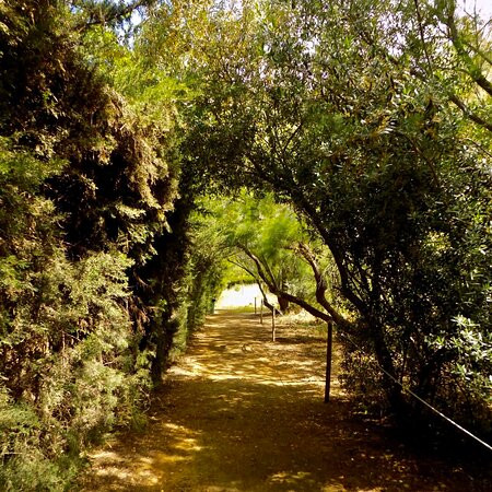 Parque de la Laguna de Fuente del Rey-Dos Hermanas必去景点