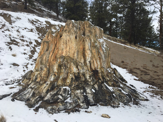Florissant旅游景点-Florissant Fossil Beds National Monument