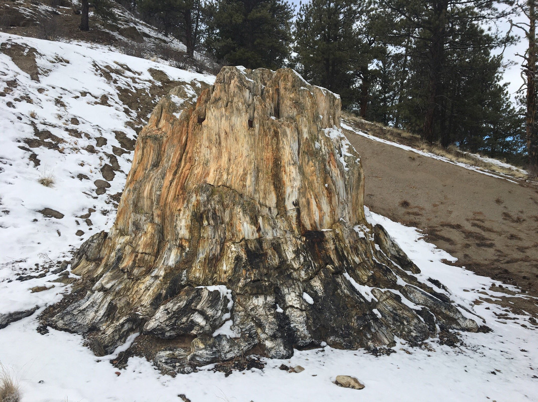 Florissant Fossil Beds National Monument景点图片