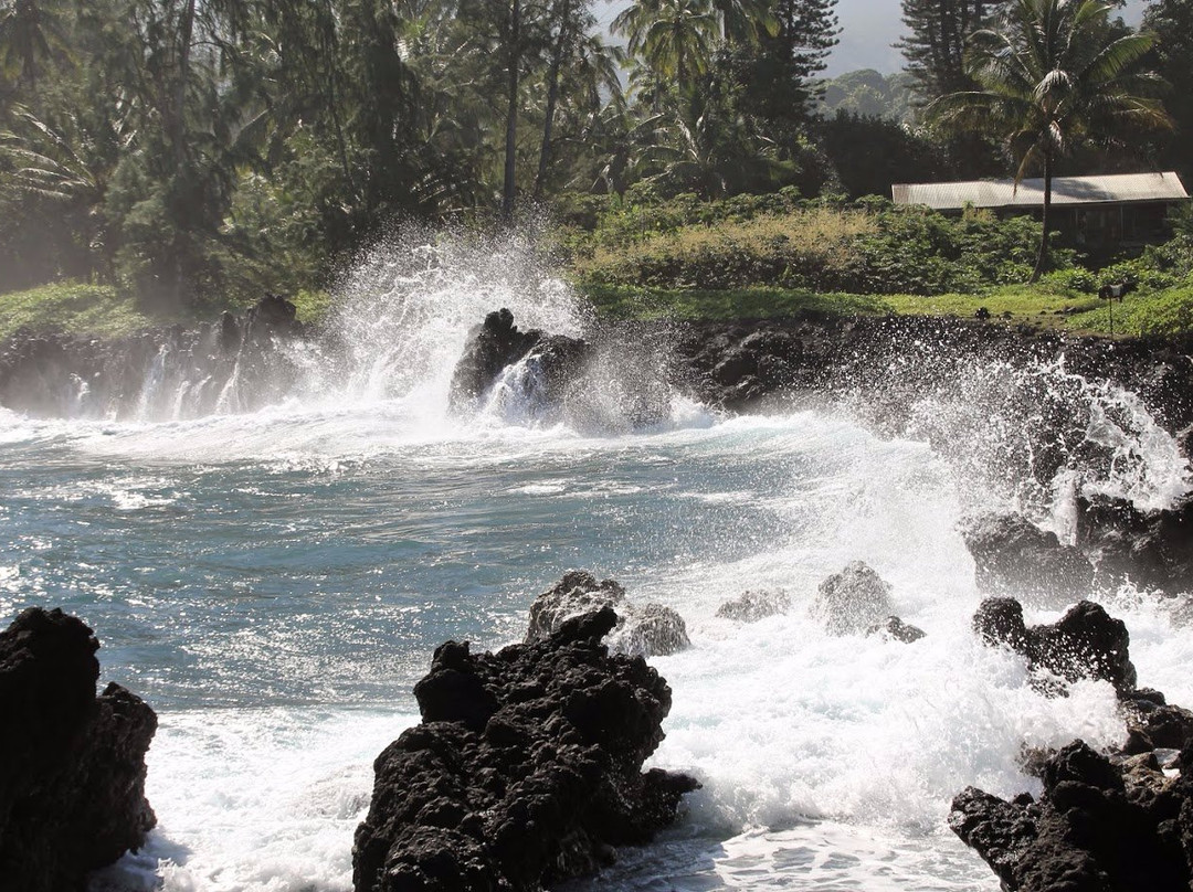 Maui Dual Sport景点图片