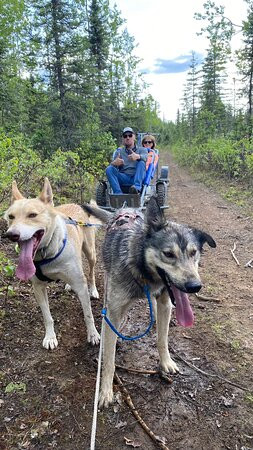 Alaskan Husky Adventures景点图片