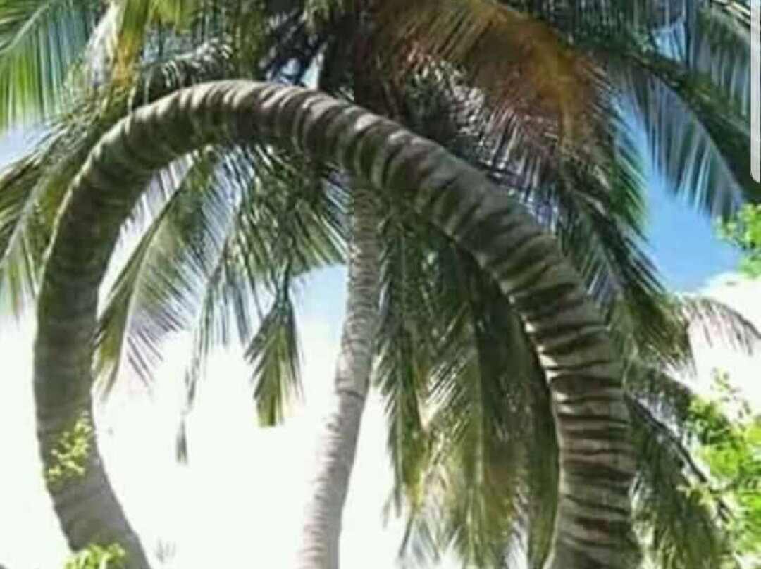 Spice Island Hotel Resort Zanzibar