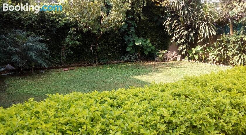 Royal Continental主图