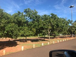 Parque dos Poderes-大坎普市必去景点