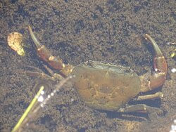 Montagu Nature Garden-蒙提古必去景点