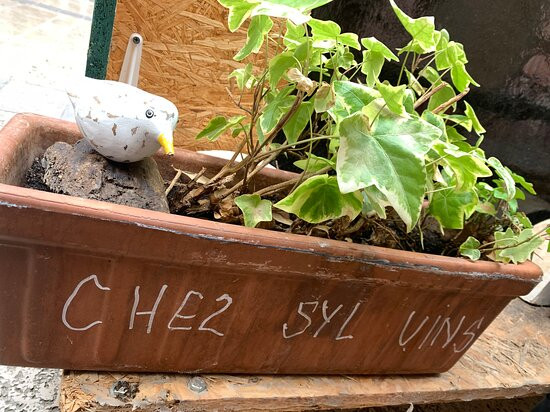 Chez Syl Vins-科利乌尔必去景点