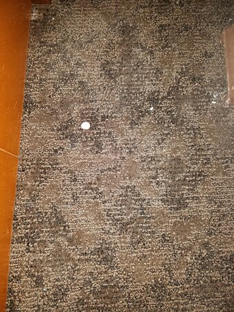 微风汽车旅馆主图