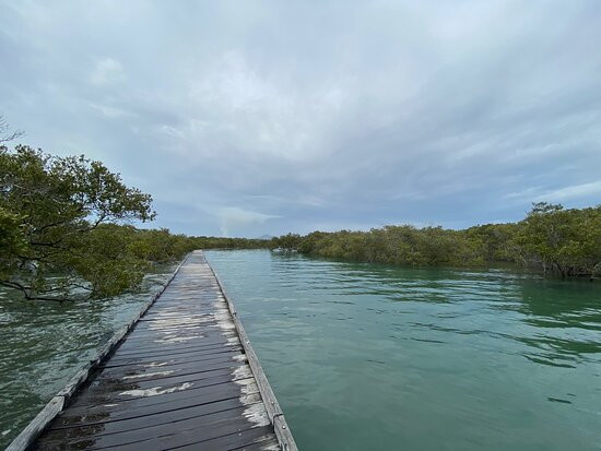 Urunga Wetlands Boardwalk景点图片