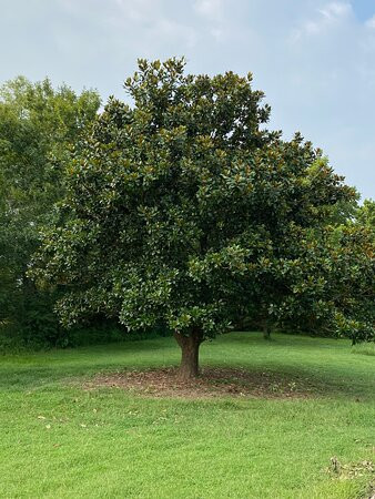 The Abbé House Inn主图