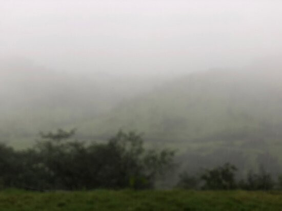 Manas Resort With Petting Zoo主图