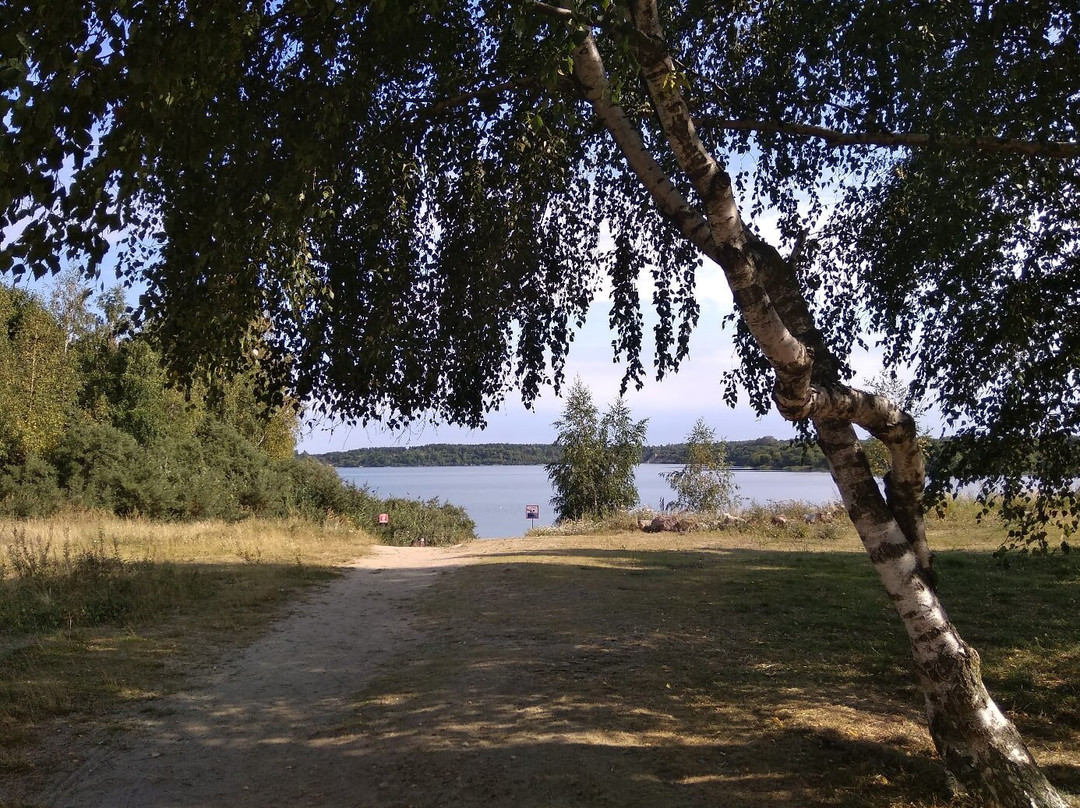 Sinyavinskoye Lake景点图片