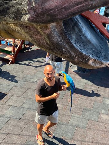 Medusa Boat-厄吕代尼兹必去景点