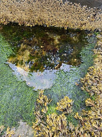 Cape Elizabeth Light-开普伊丽莎白必去景点