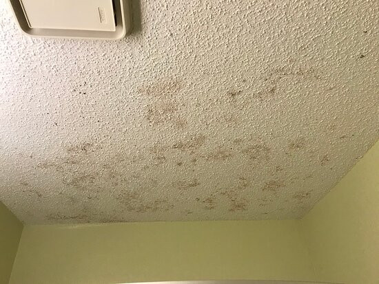 Super 8 by Wyndham Carlisle North主图