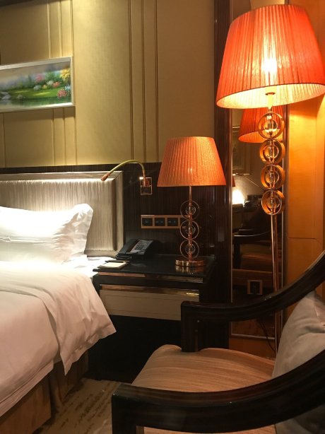 明发国际大酒店-客卧