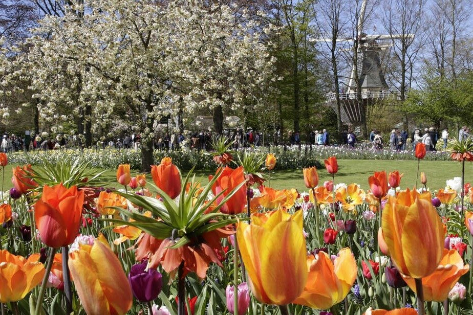 Hop on Hop off Holland-阿姆斯特丹必去景点