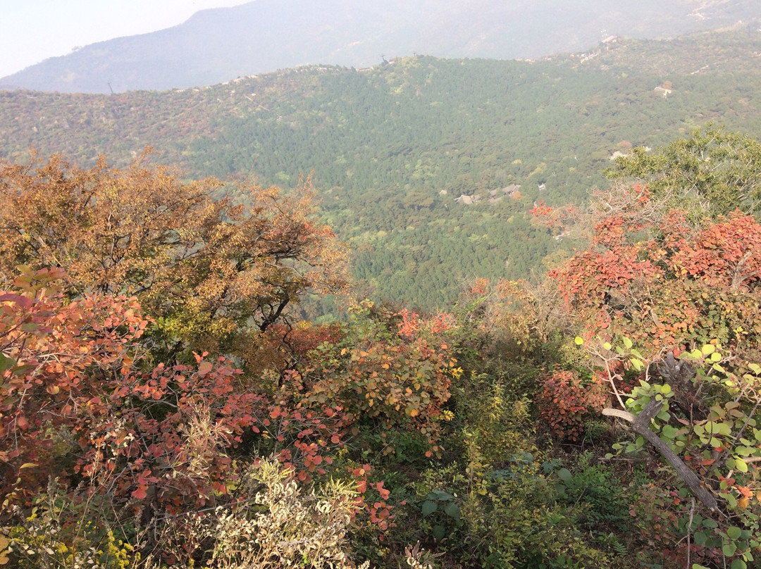 香山公园-北京市必去景点