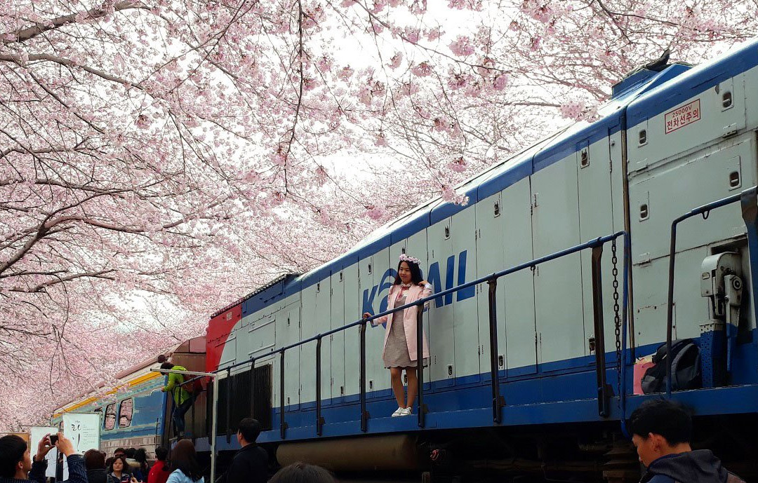 Korea Time Tour-首尔必去景点