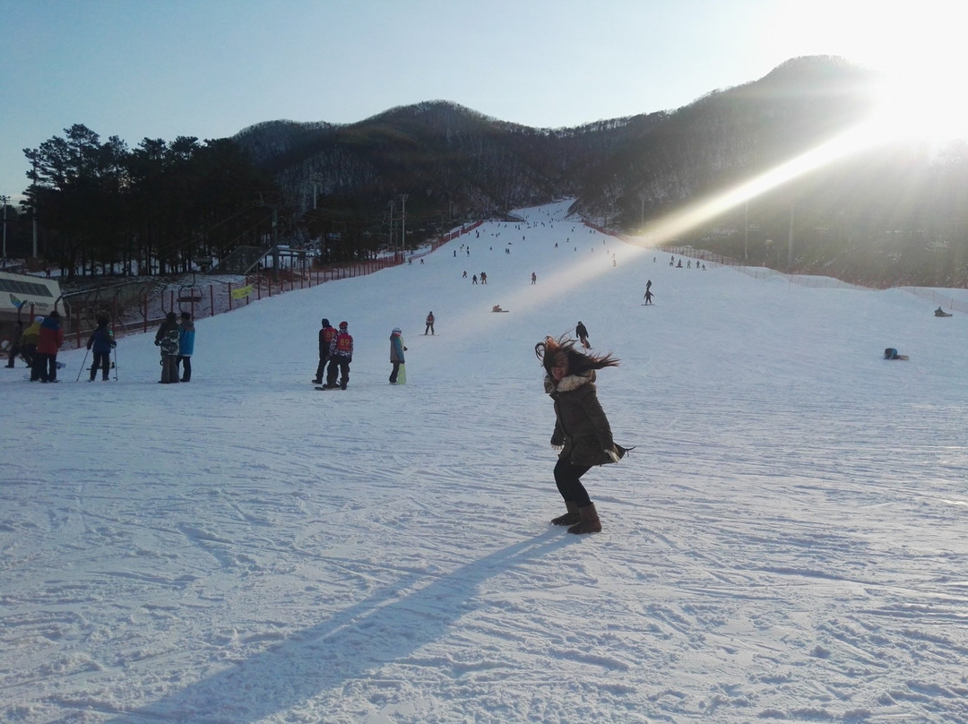 Jisan Forest Resort景点图片