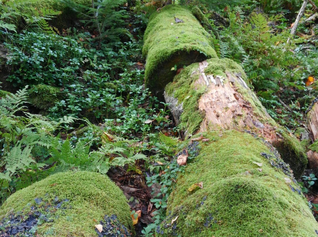 Toyoni Lake-襟裳町 必去景点