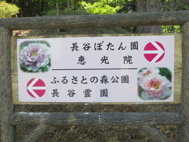 Furusato no Mori Park景点图片
