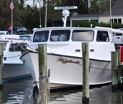 Maryland Fishing and Hunting