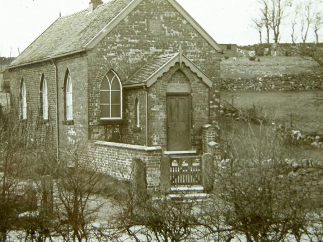 Foxt旅游攻略图片