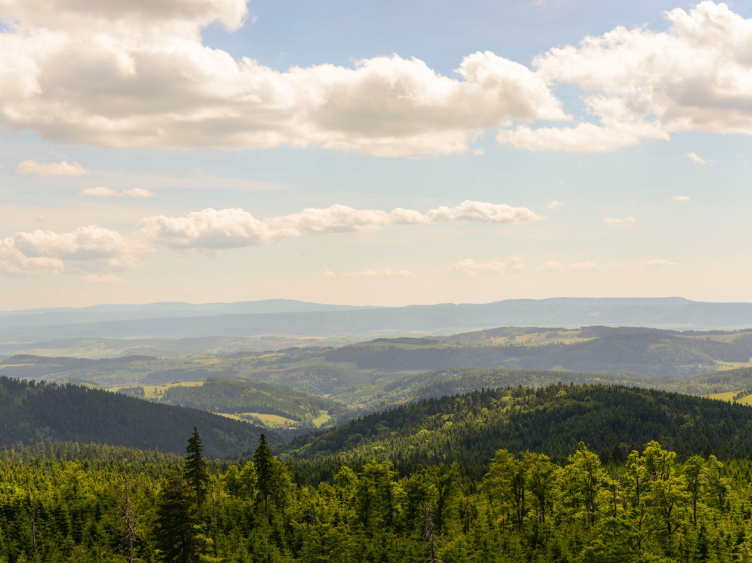 Ludwikowice Klodzkie旅游攻略图片