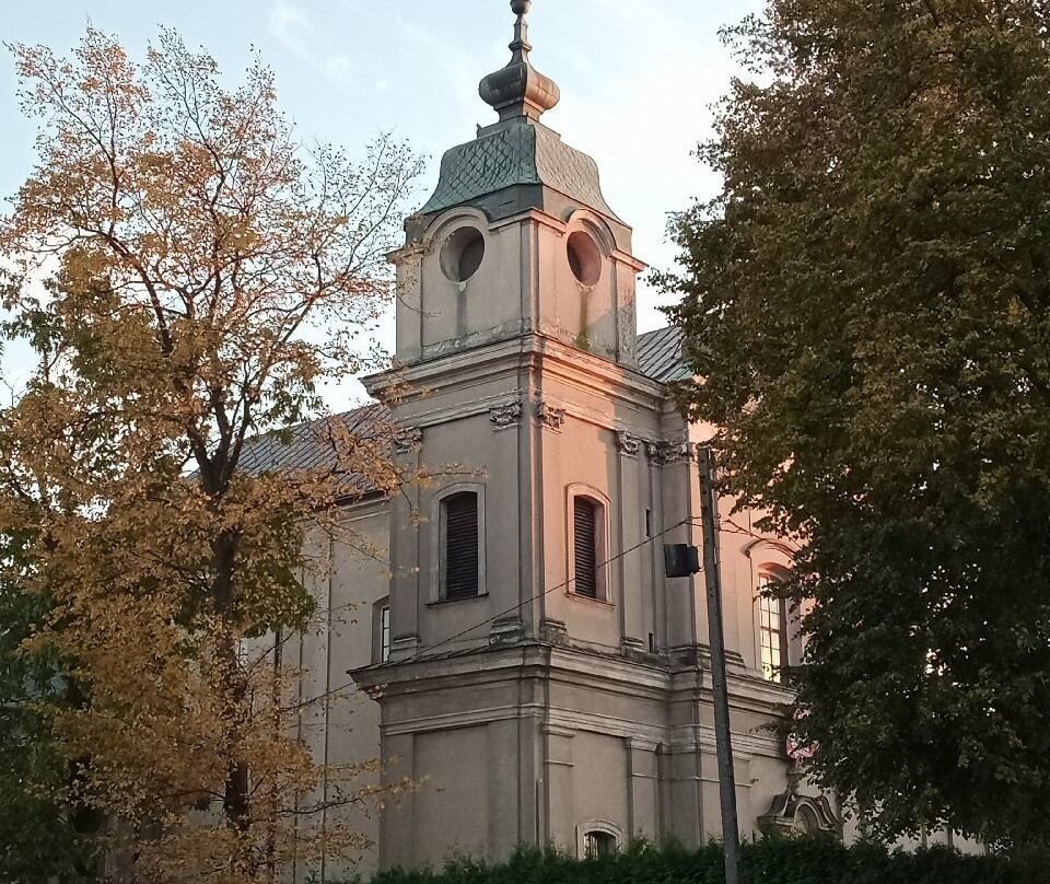 Kościół Matki Bożej Szkaplerznej景点图片