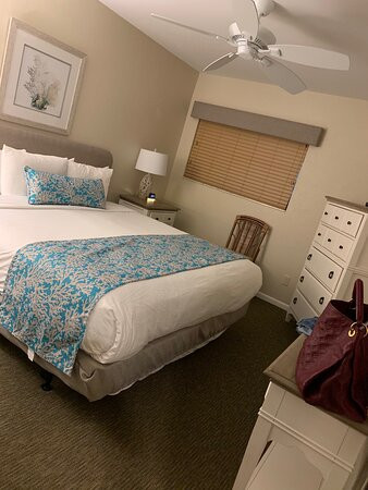 Club Regency of Marco Island主图