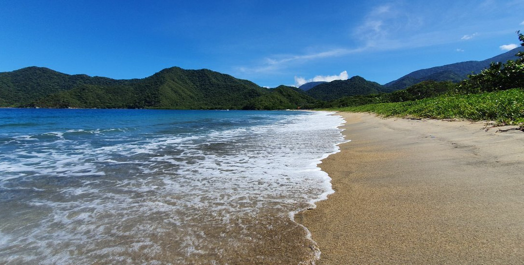Playa Neguanje景点图片