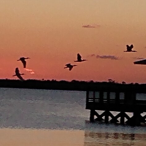 Lake Trafford-Immokalee必去景点